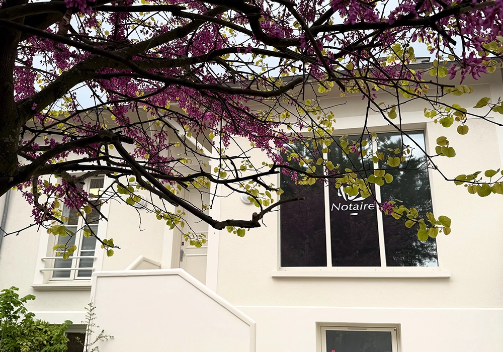 Galerie
